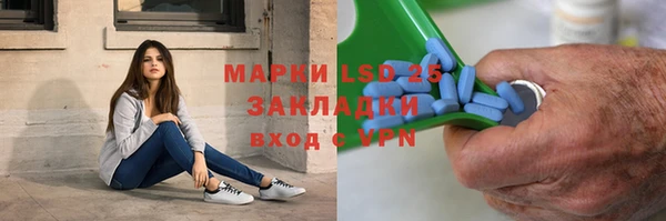 ГАЛЛЮЦИНОГЕННЫЕ ГРИБЫ Алзамай
