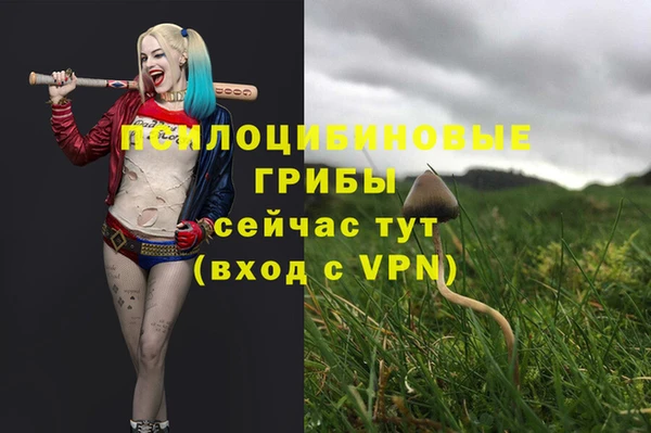твердый Алексеевка