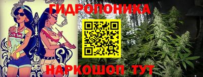 эйфоретик Гусиноозёрск