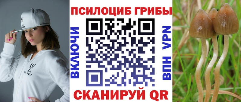МЕГА как войти  Ленинск-Кузнецкий  Галлюциногенные грибы ЛСД 