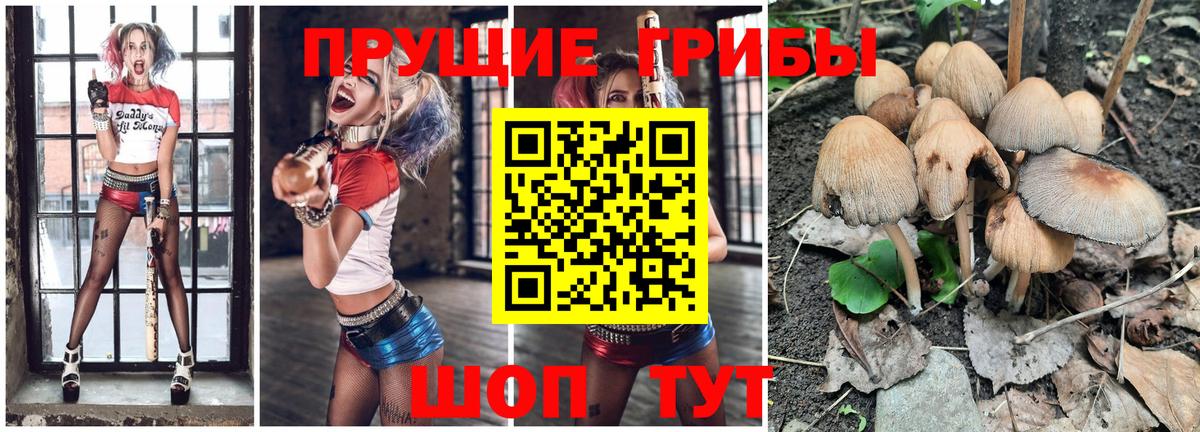 Ленинск-Кузнецкий  дарнет шоп  Вход с VPN  Галлюциногенные грибы ЛСД 