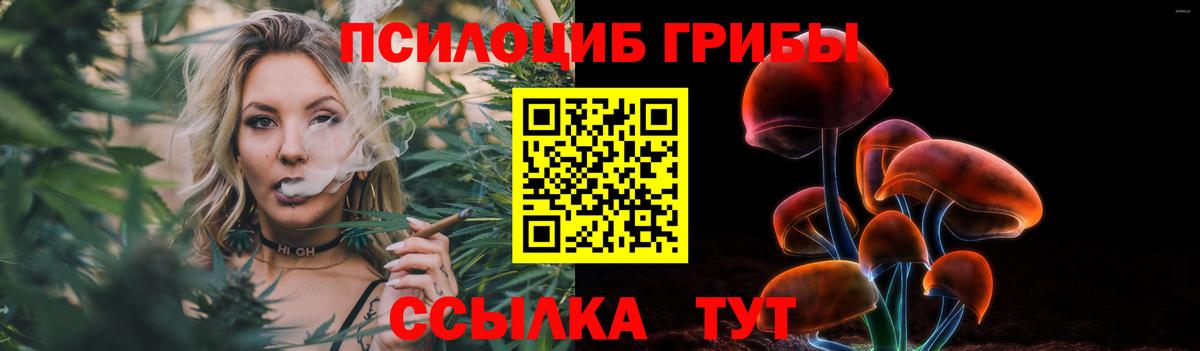 Галлюциногенные грибы Psilocybe Ленинск-Кузнецкий